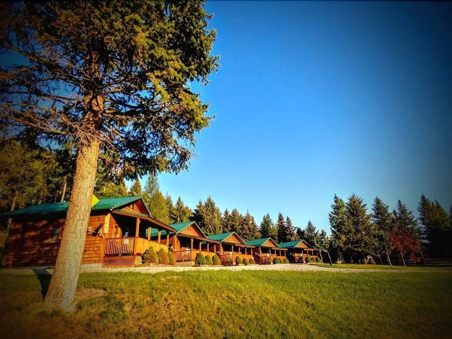 Homestead Cabin Resort