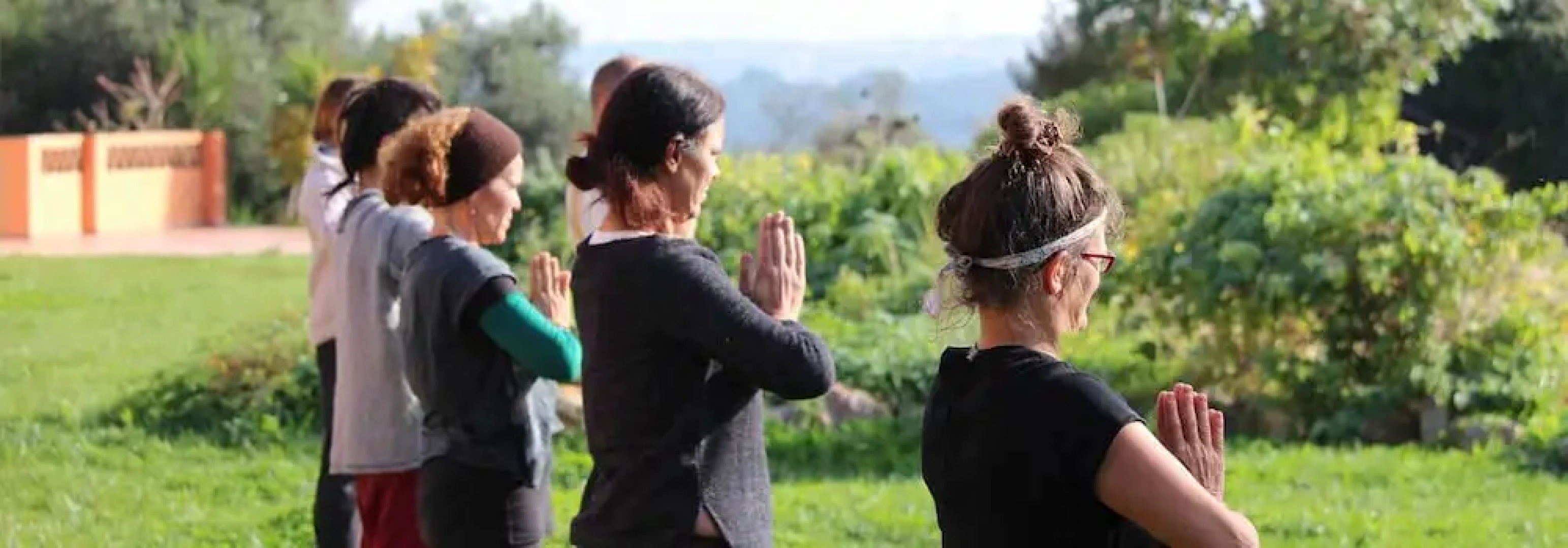 Casa do Vale da Lama EcoHotel & Retreat Centre in a farm