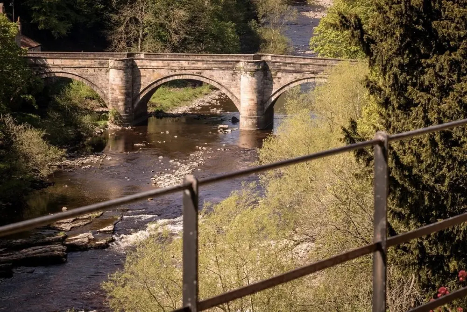 The Unicorn Richmond