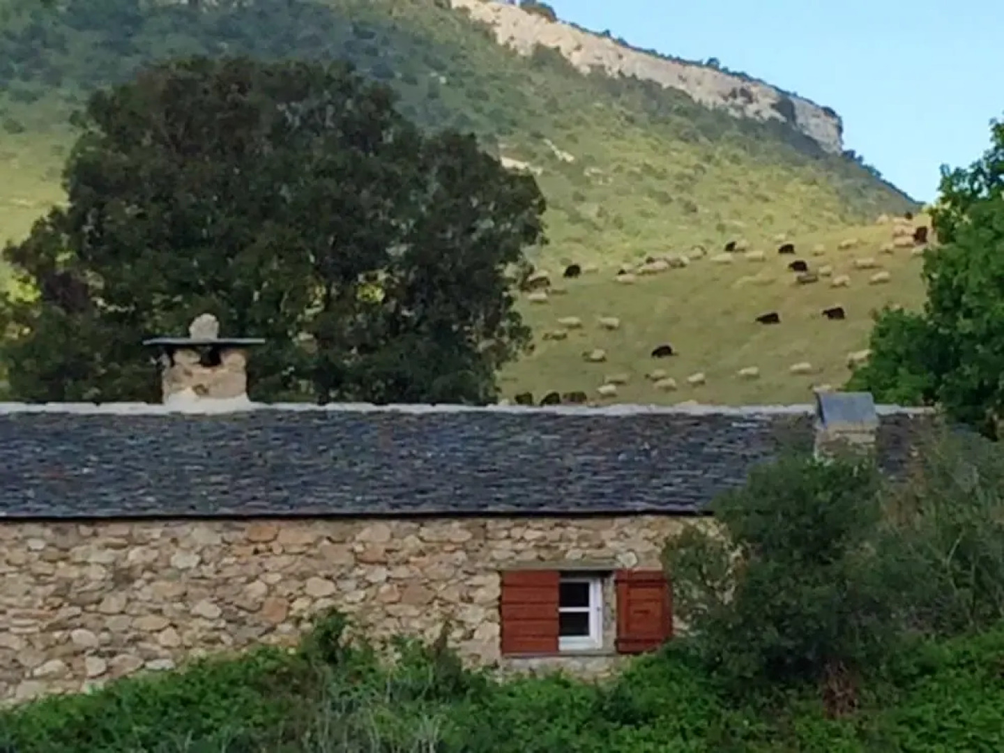 Apartment With one Bedroom in Patrimonio, With Wonderful Mountain View