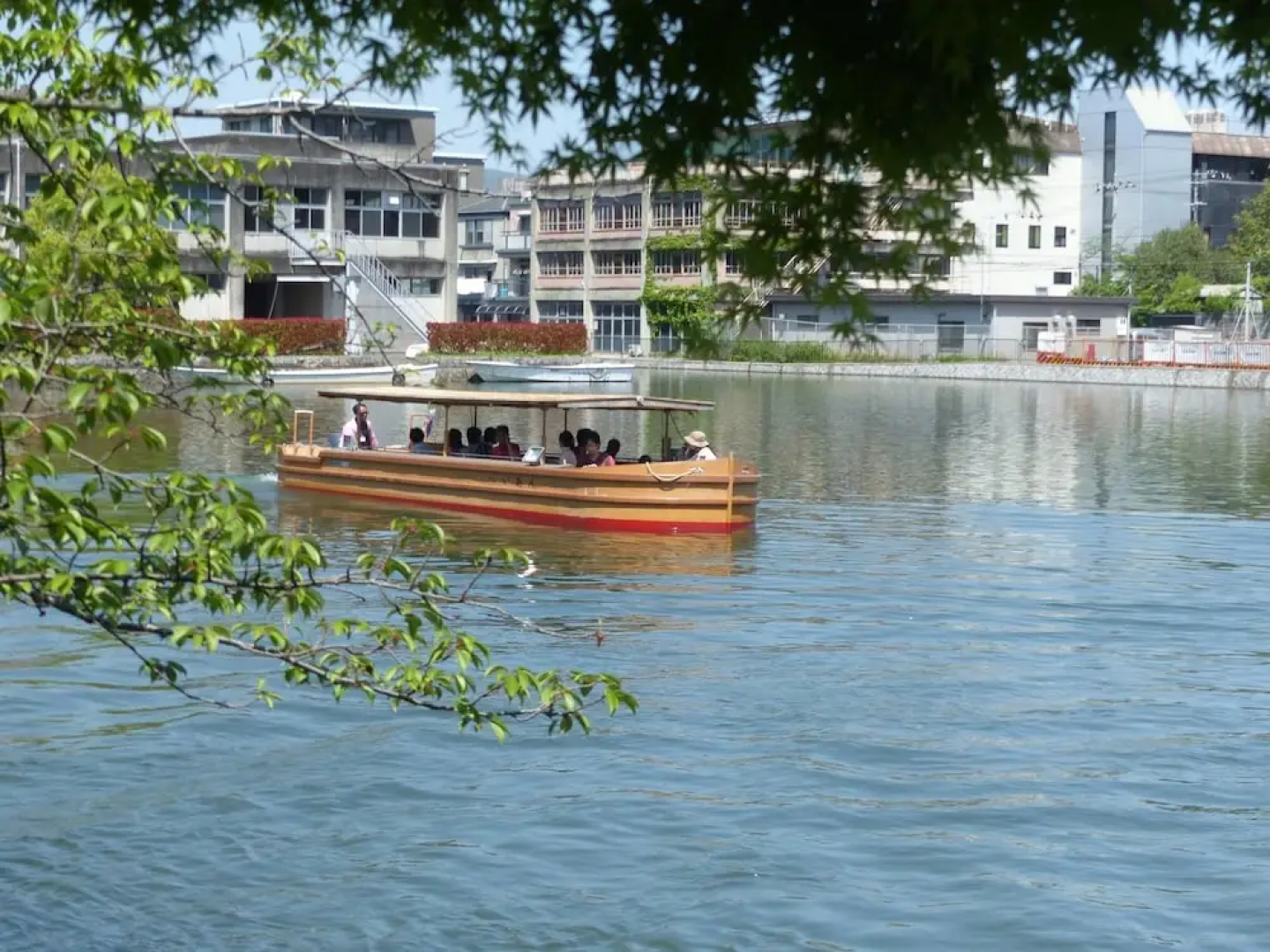 Bagú Azul Oberá