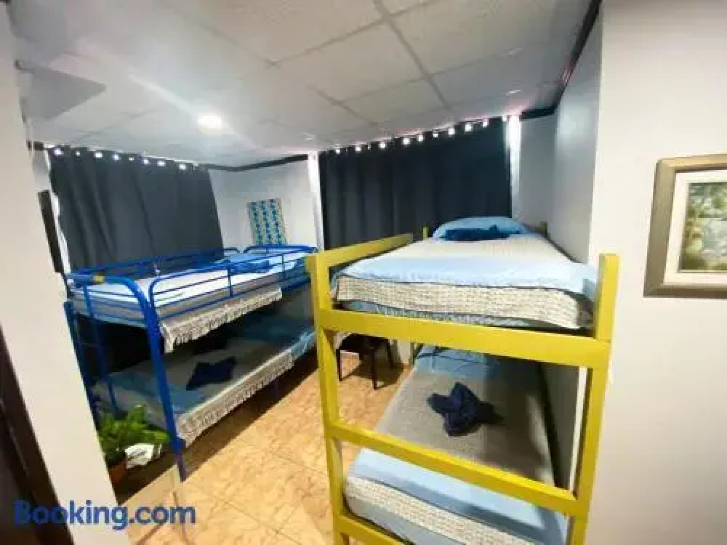 Wild Flowers Boquerón Rooms