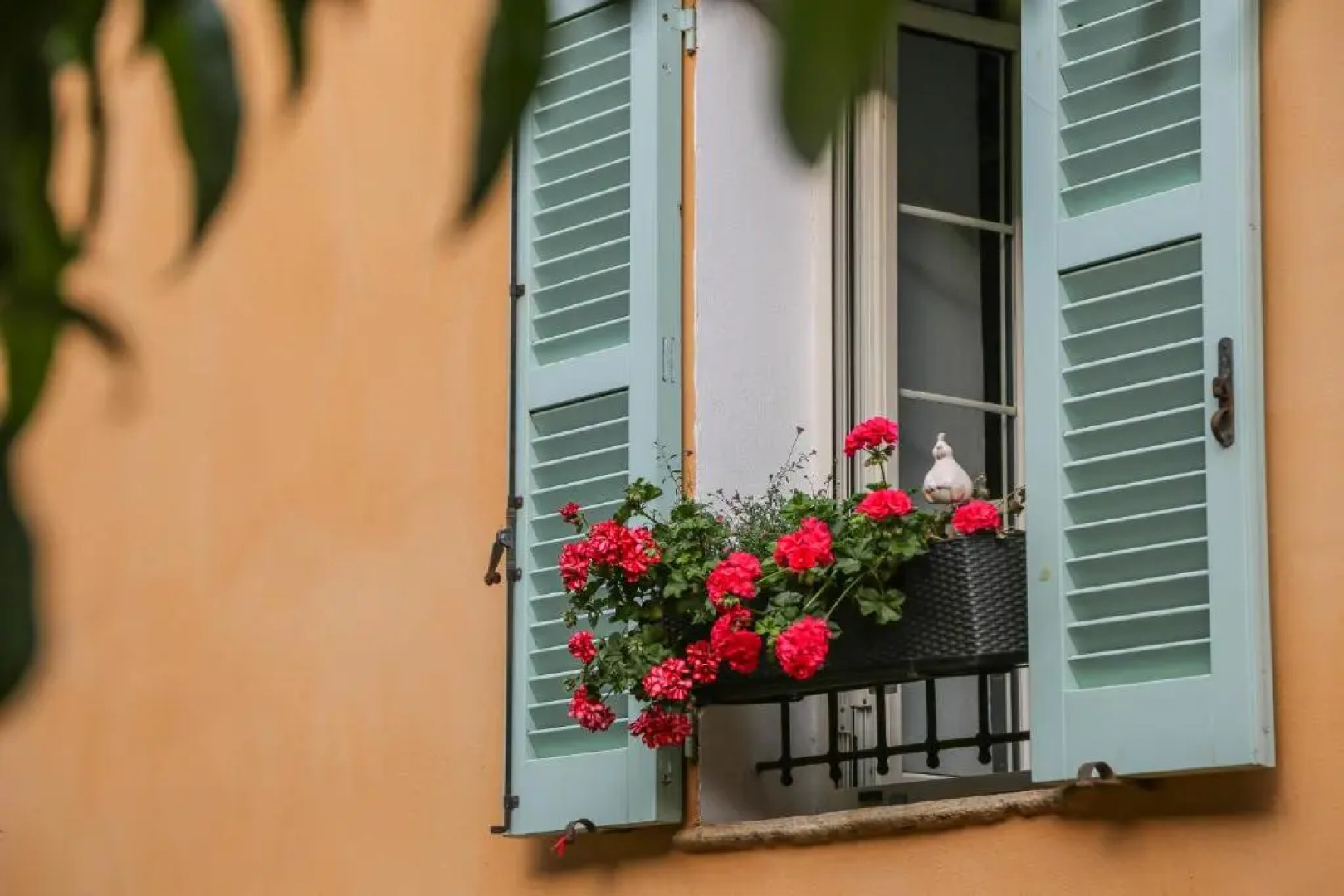 Latu Corsu - Cote Corse