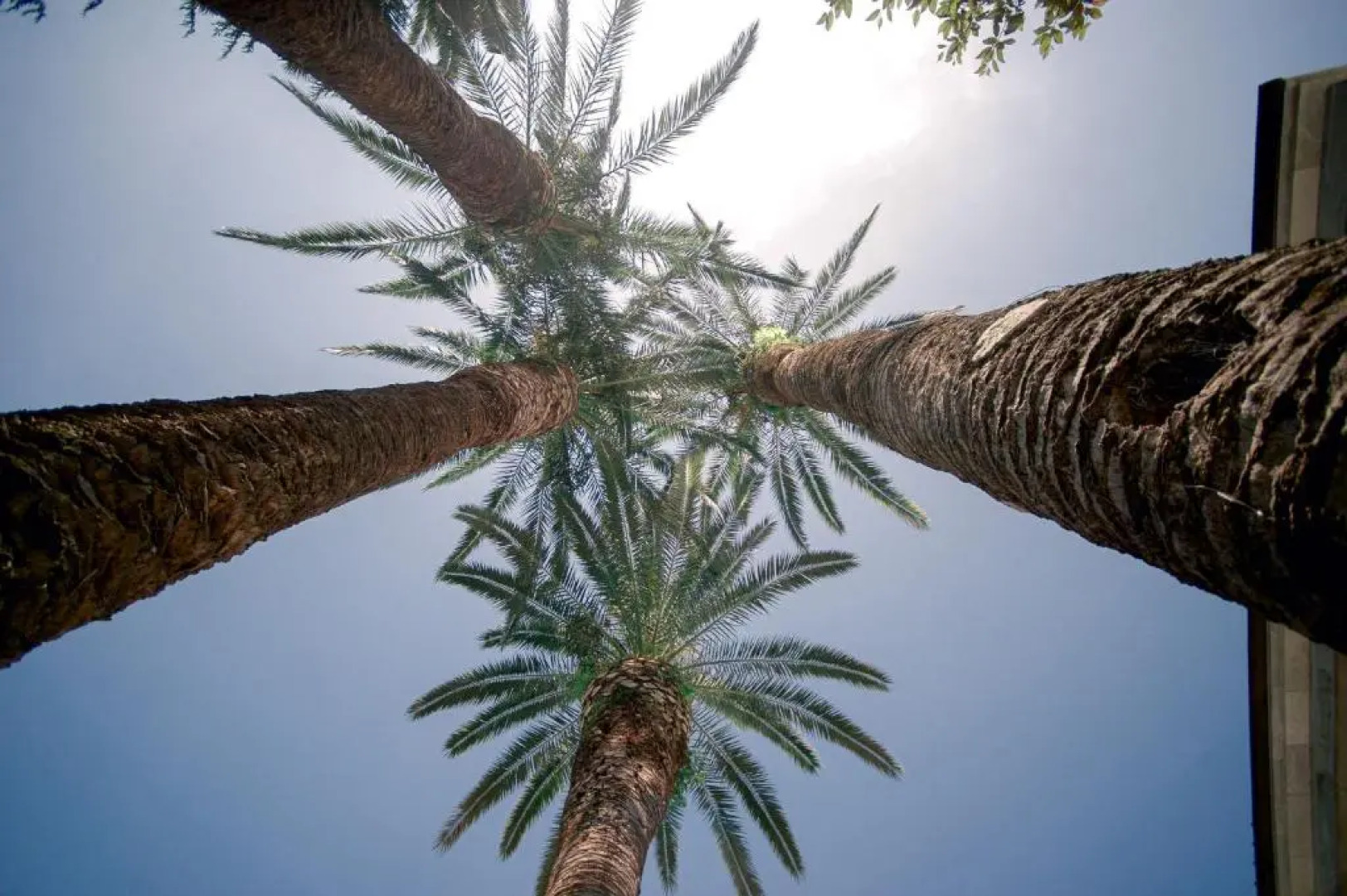 Relais Montepepe Winery & Spa