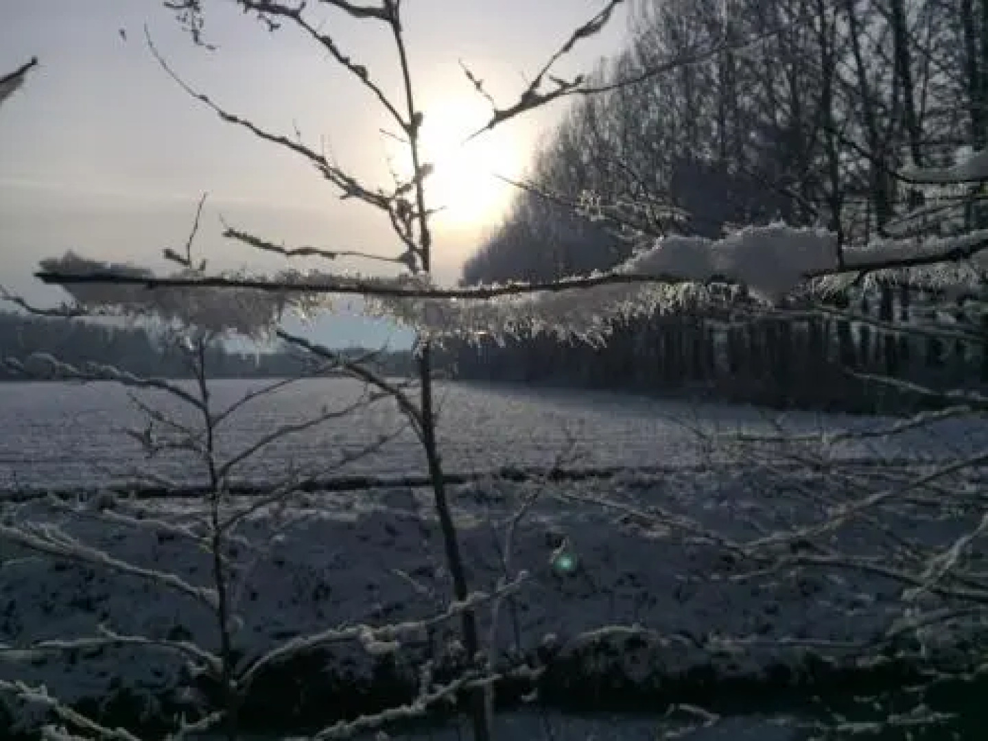 Ferienwohnungen direkt am Wasser