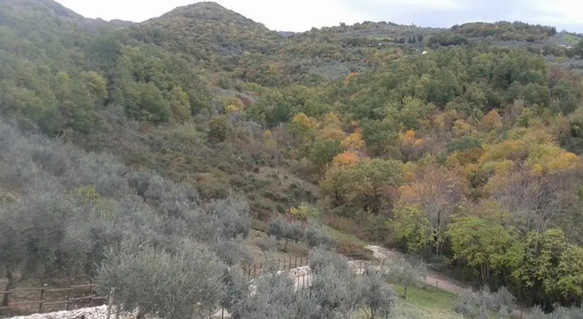 Agriturismo Le Cerqueta