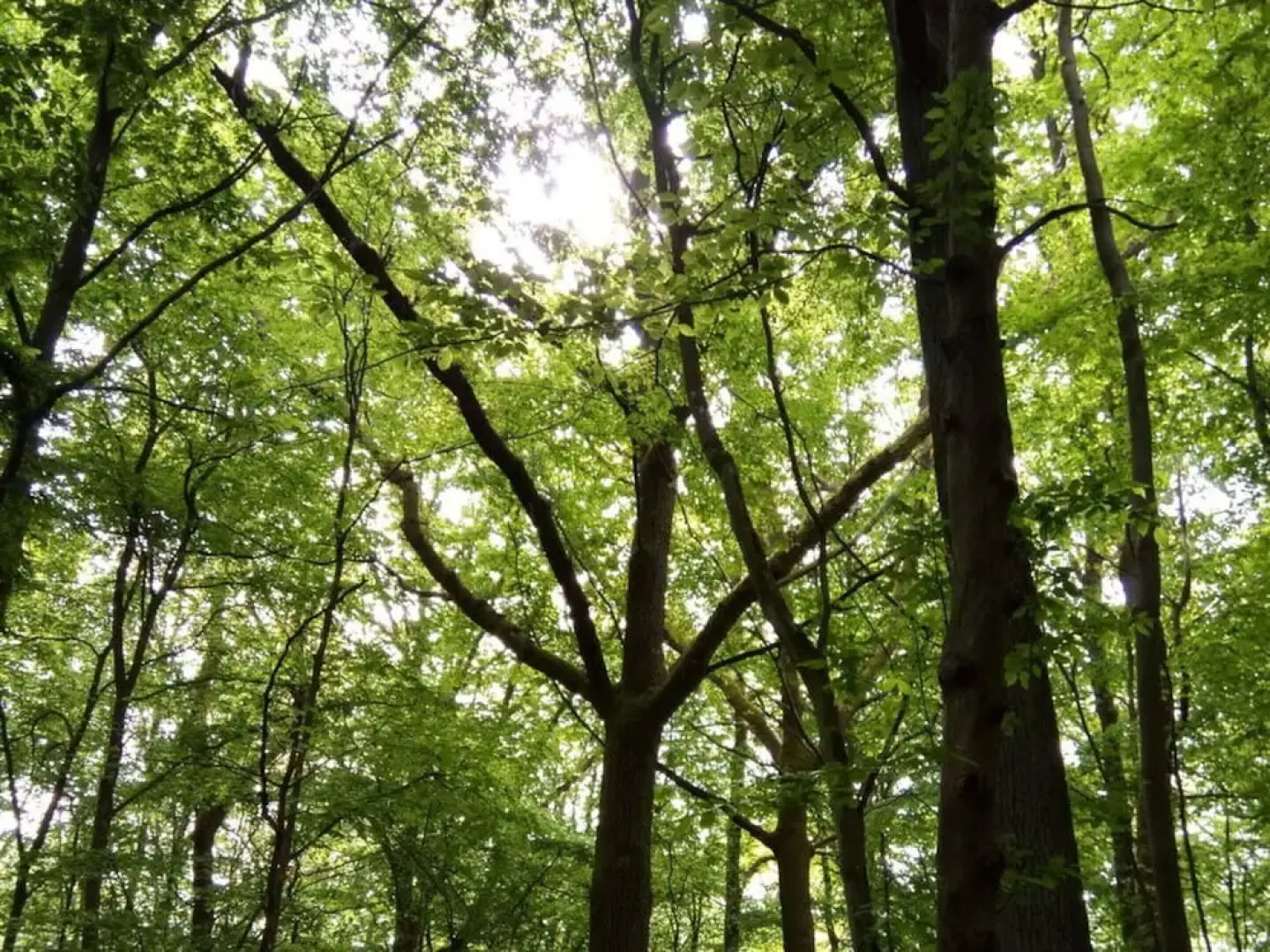 Holiday Apartment Lautertalblick