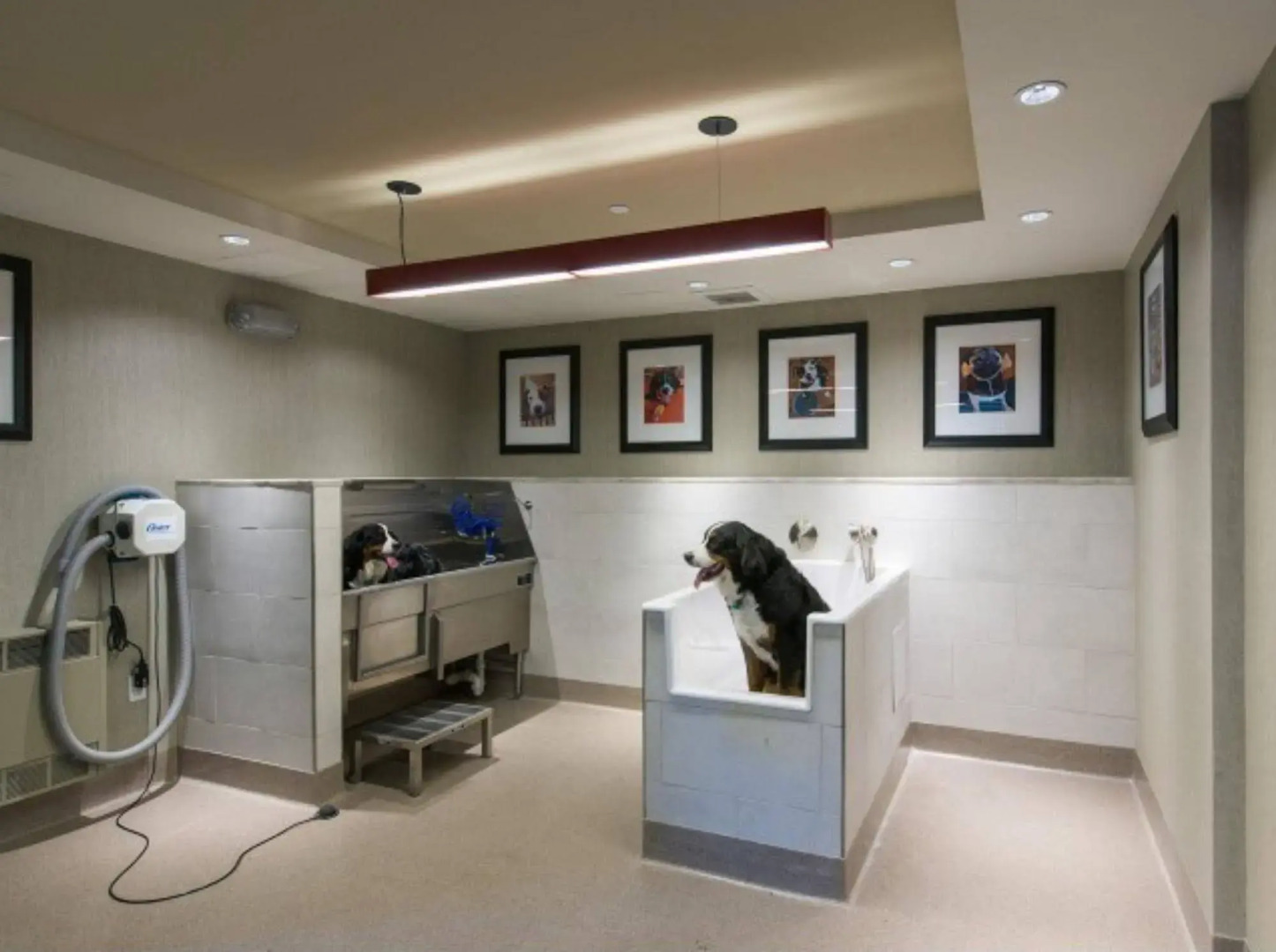 Global Luxury Suites at Cambridge Park