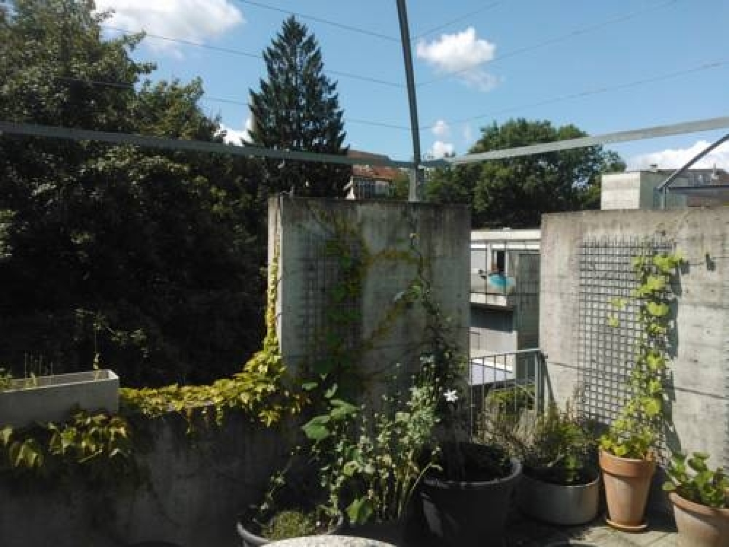 Gästezimmer Fischergarten B&B