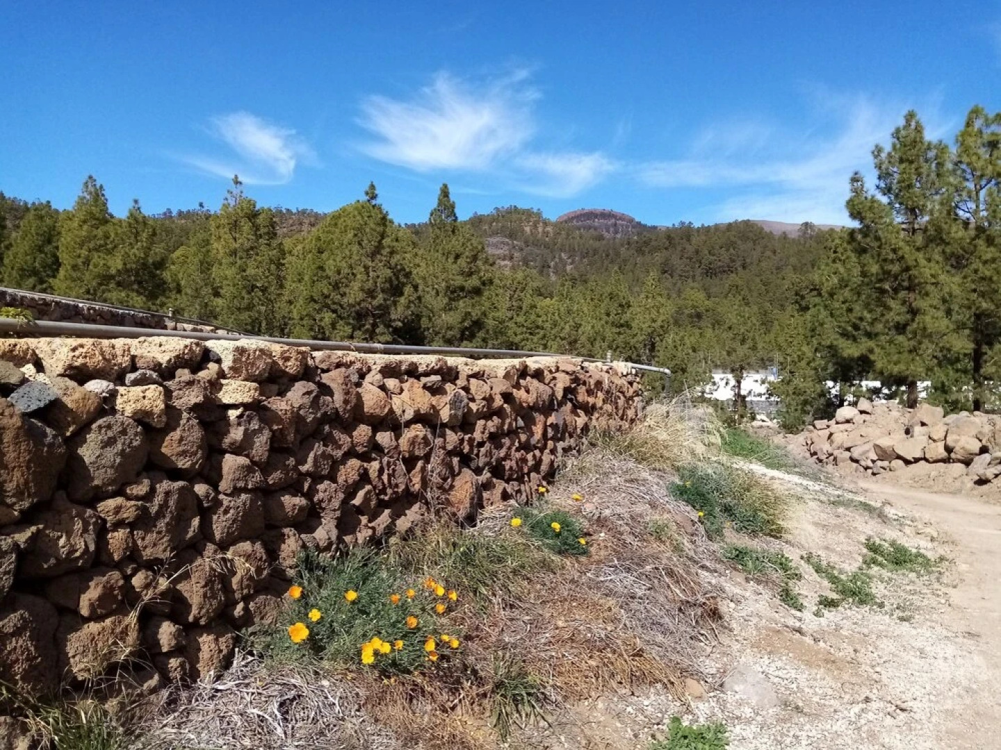 Ziggy's Mountain Retreat