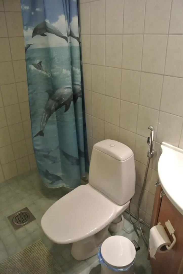 Guest House Haapaniemen Hirsikartano