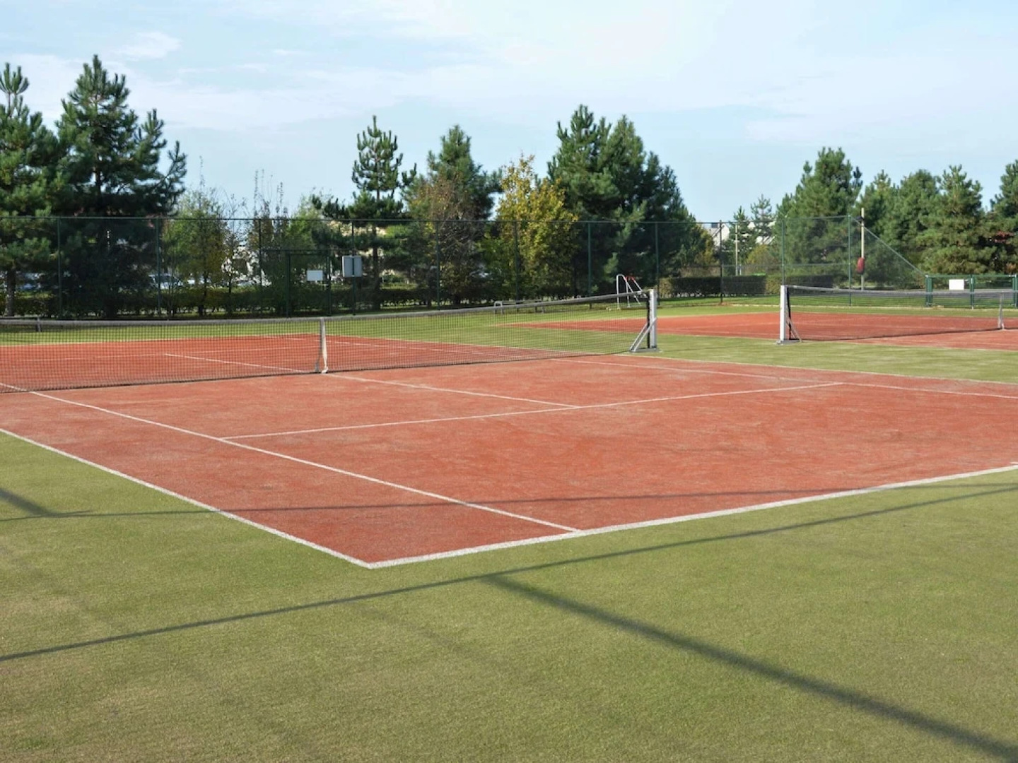 Tail-wagging Lake Escape