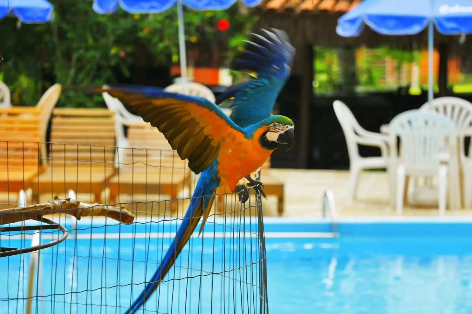 Cabanas Termas Hotel