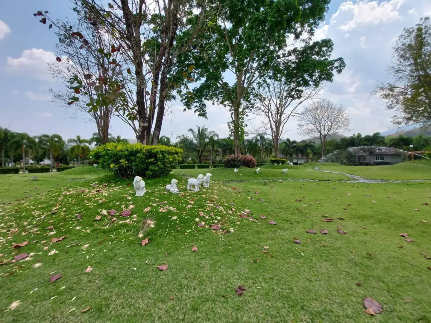 Tanaosri & Creekside Resort