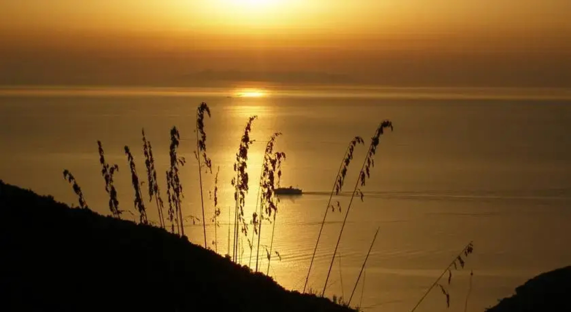 Agriturismo la Lecciola