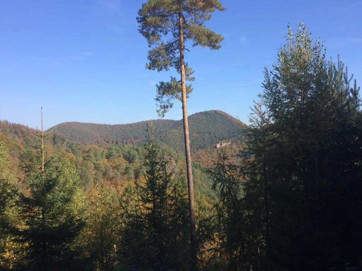 Un gîte dans la vallée