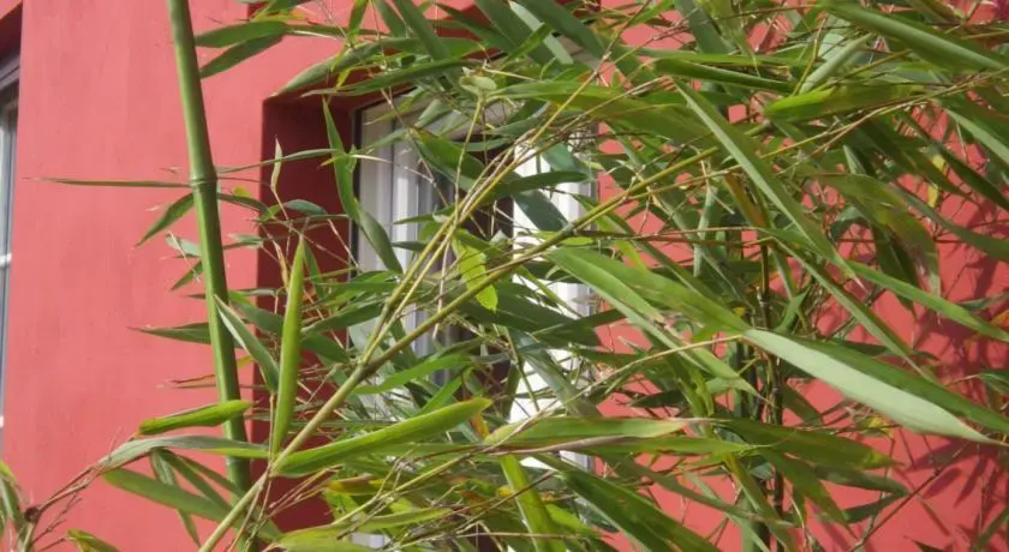 B&B Cascina Grassina