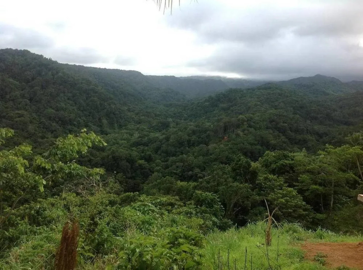 Rainbow Beach Apartments & Rooms