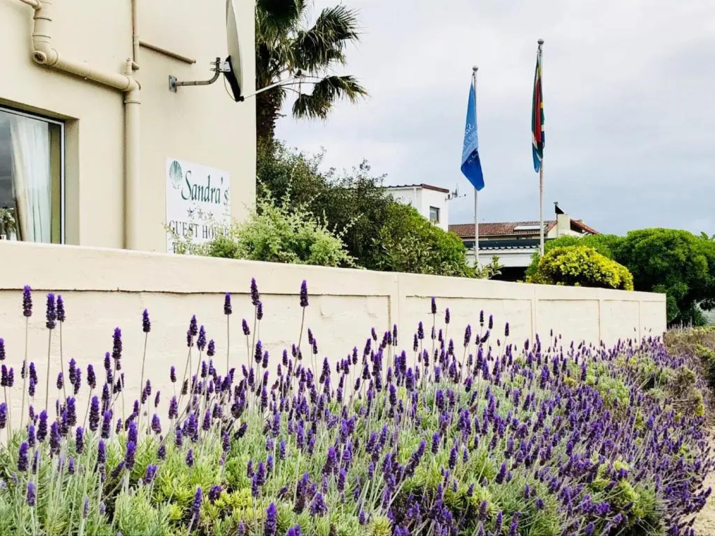 Sandra's Guest House