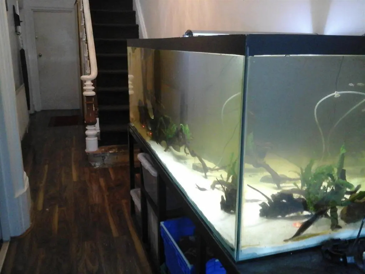 Heavenly Nights Guest House