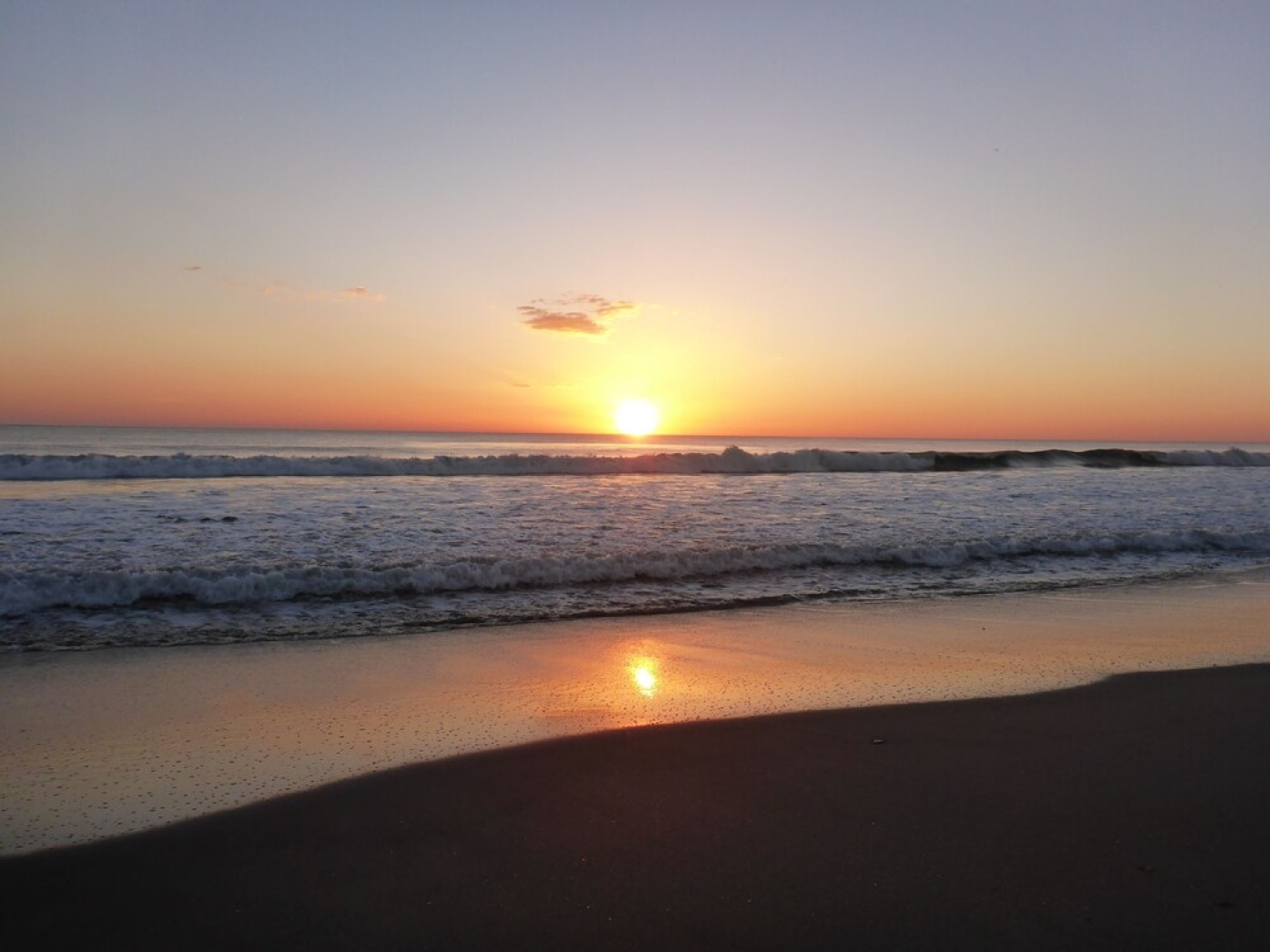 Las Palmeras Beach Hotel