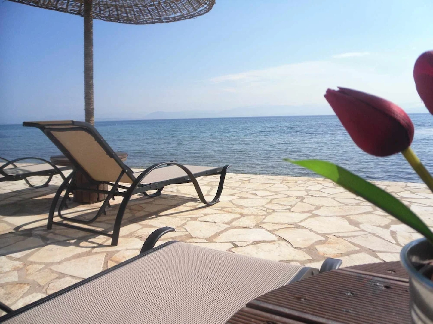 Galini beach studios