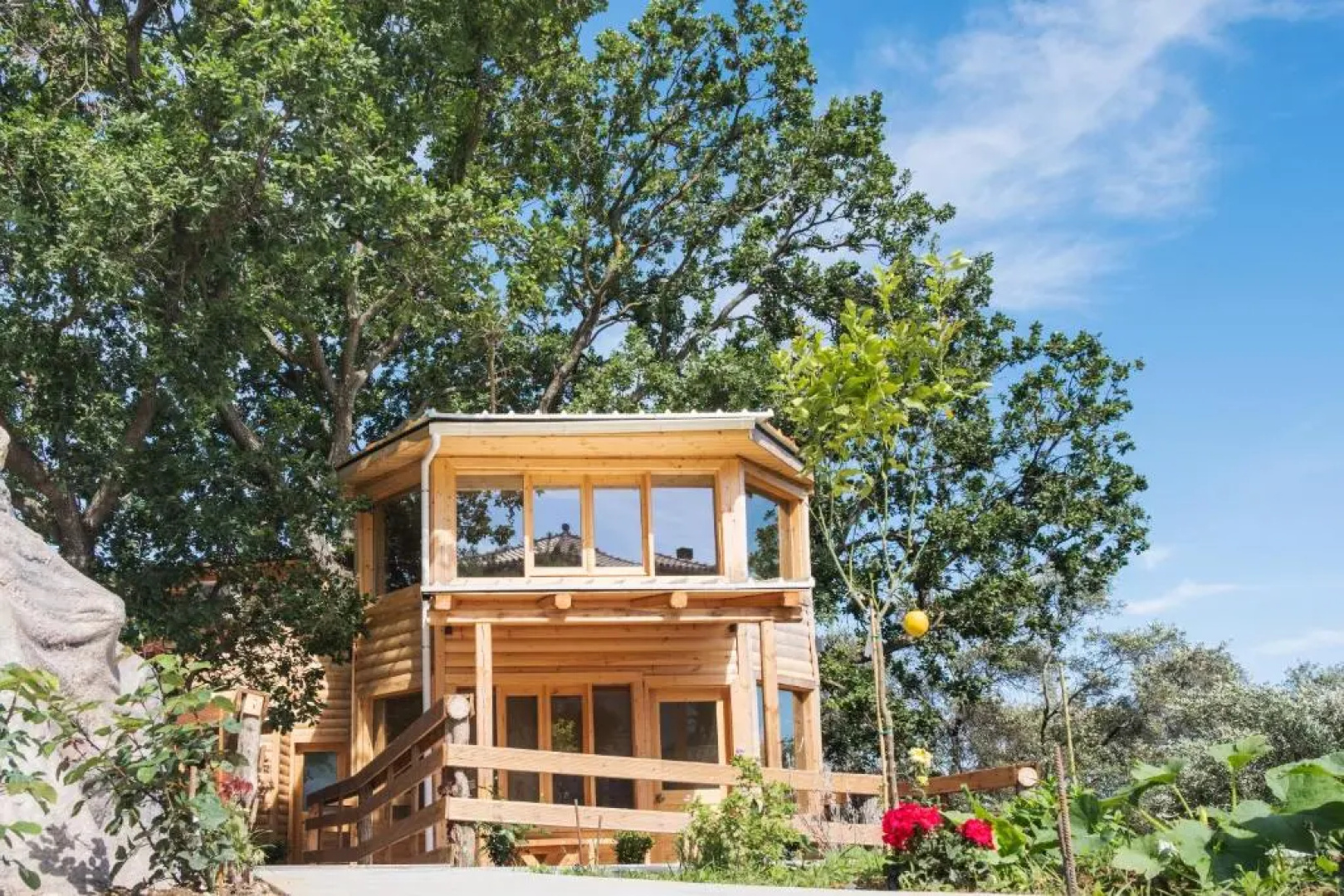 Romantic Tree House