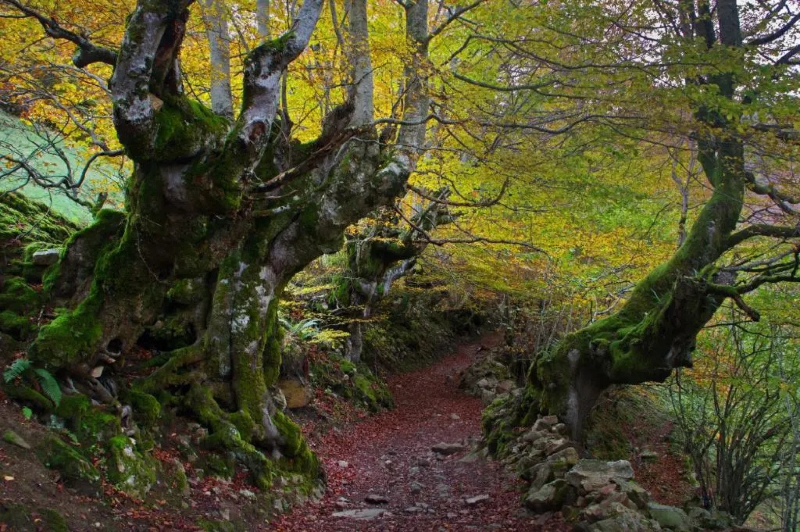 Apartamentos la Regoria