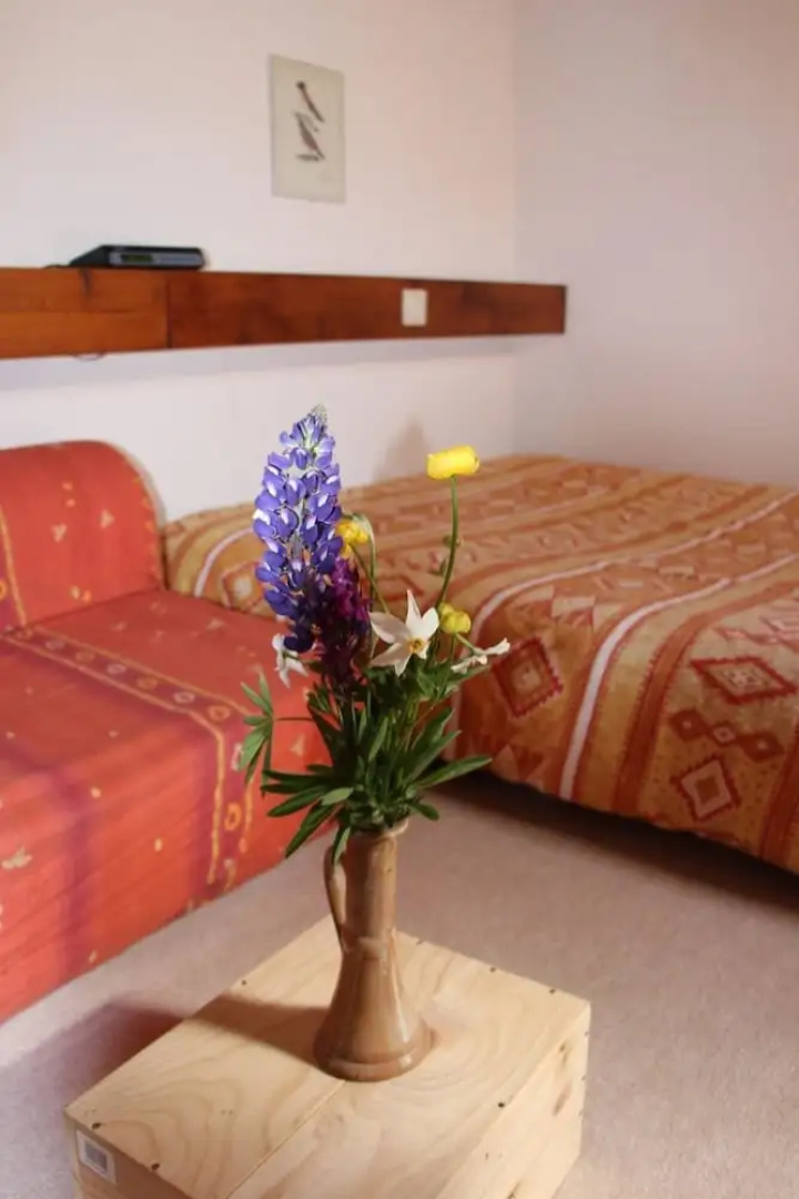 Apartment With 2 Bedrooms in Puyvalador, With Wonderful Mountain View