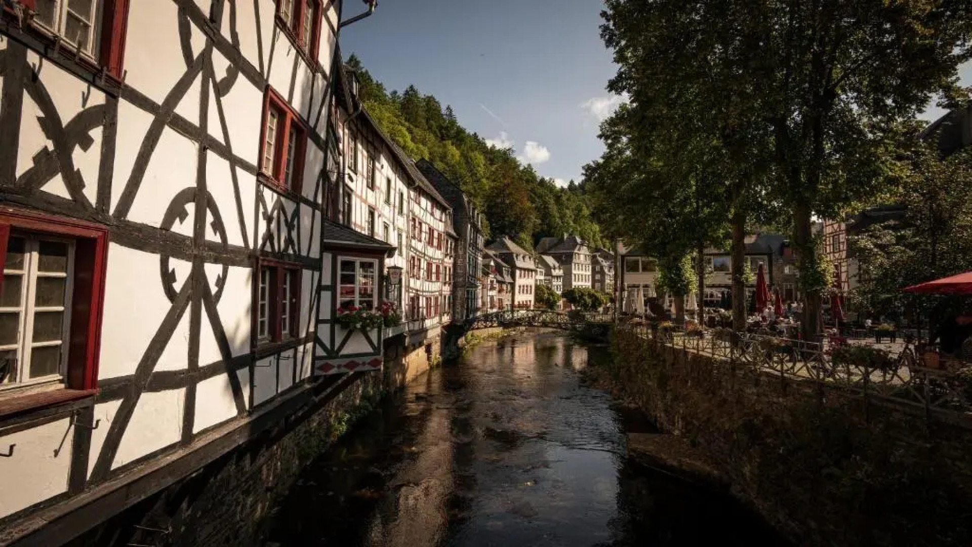 Ferienhaus MountFrosch mit Sauna und Naturpool