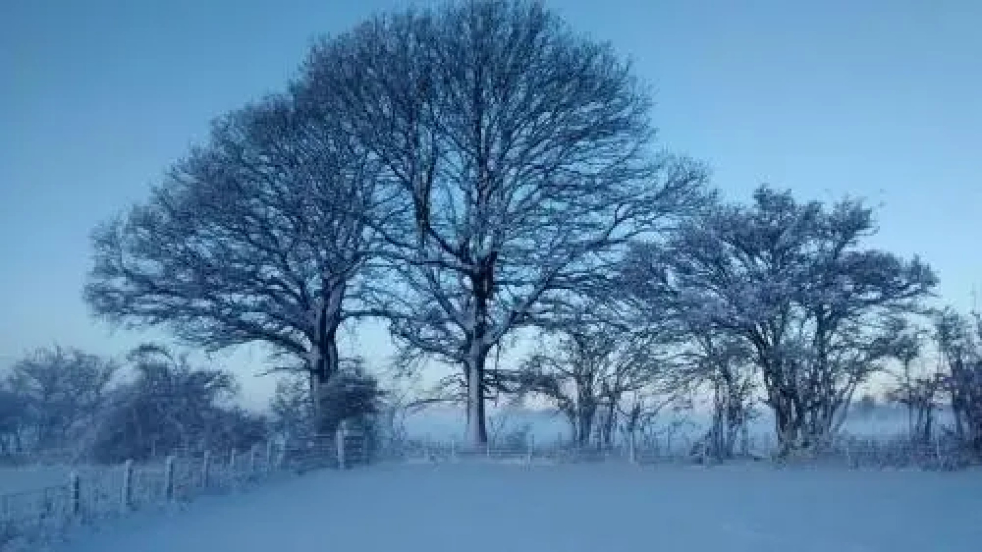 The Farm Snead Bed & Breakfast