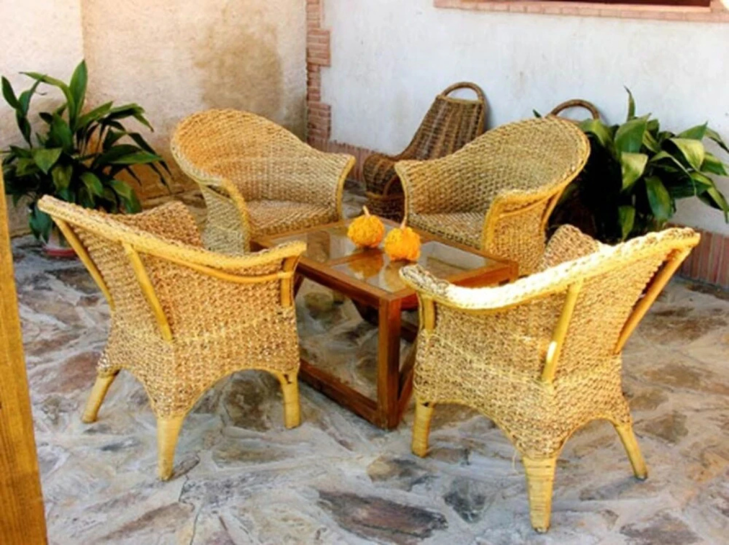 El Olivar Del Puerto