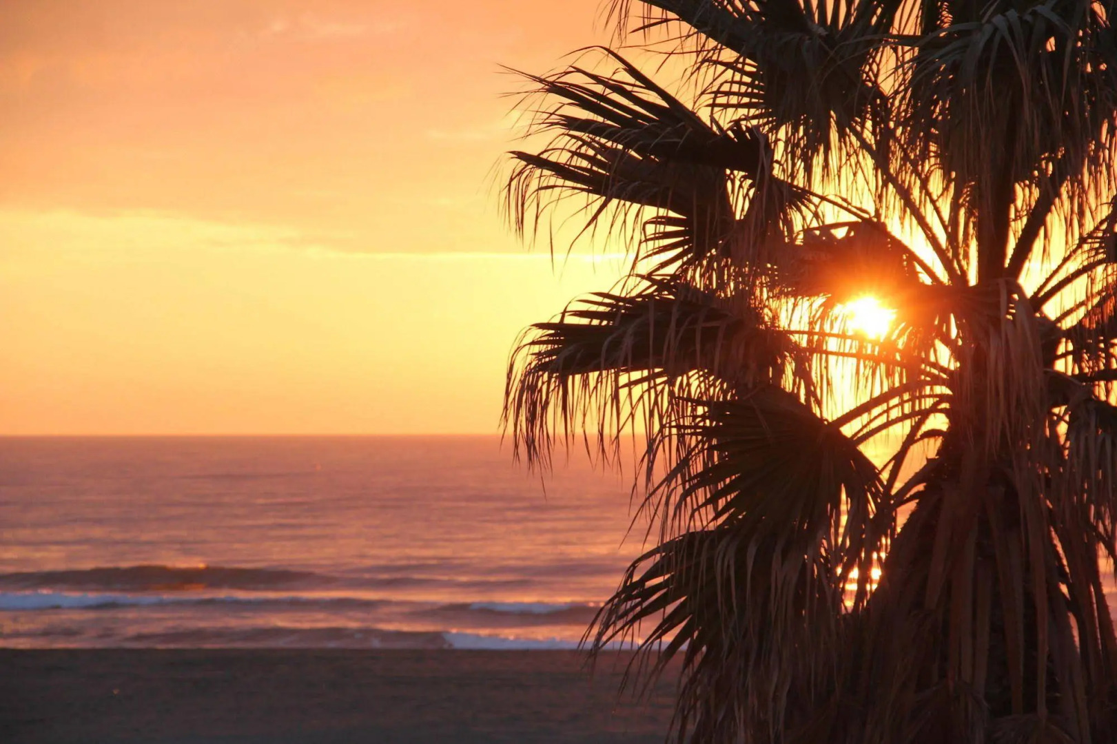 Hotel Saint Georges, Face à la Mer