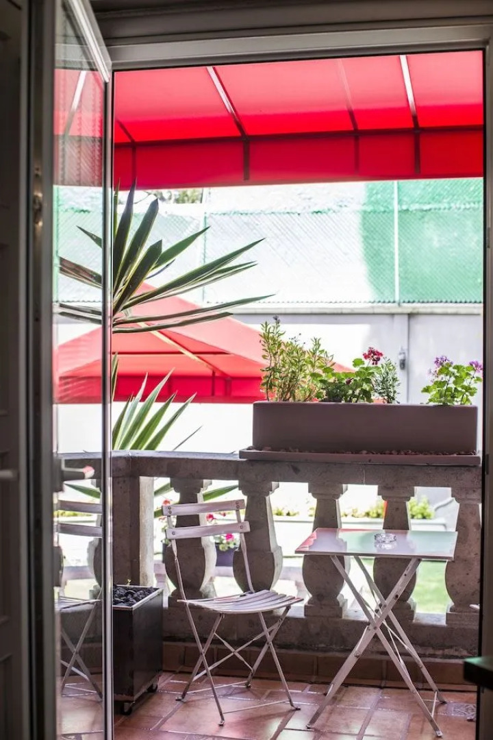 Pug Seal B&B Coyoacan