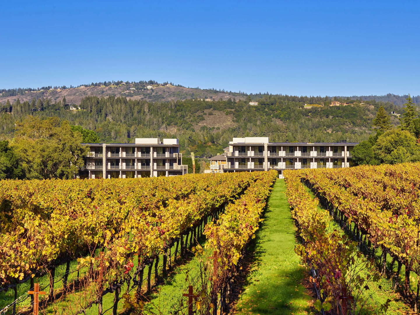 Alila Napa Valley, a Hyatt Luxury Resort