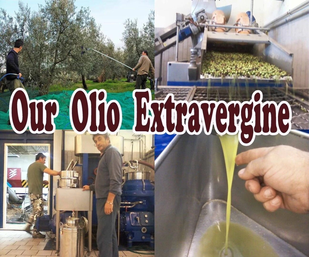 House in the countryside of Rome