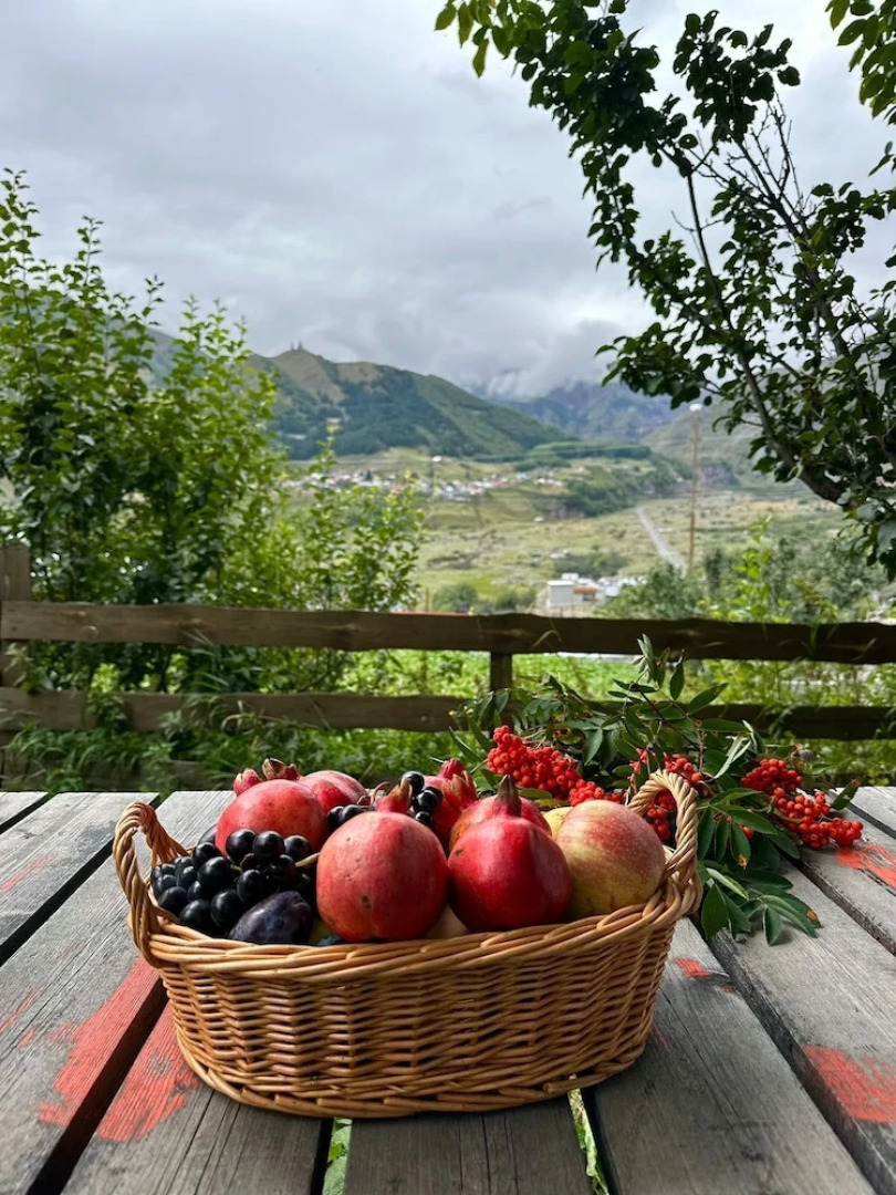 Отель Axien Kazbegi