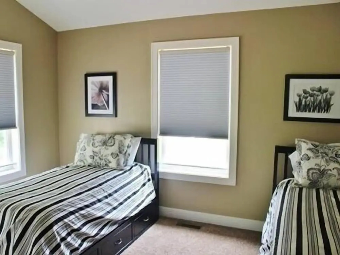 Bluewater Vacation Rentals