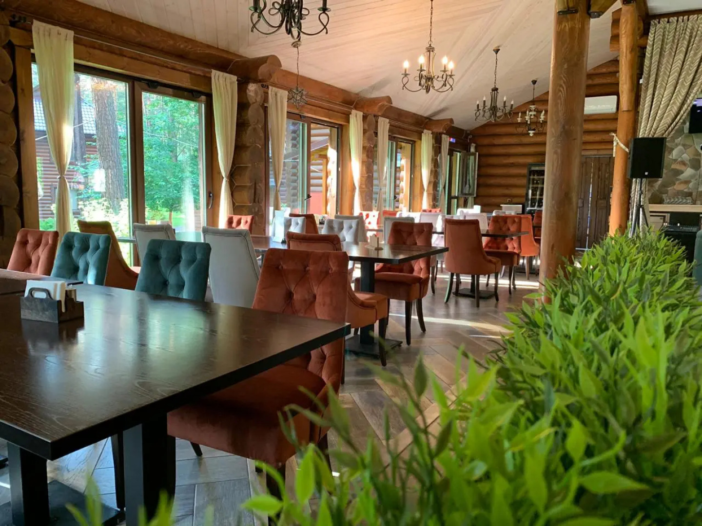 Orlinoe gnezdo (Altaj)