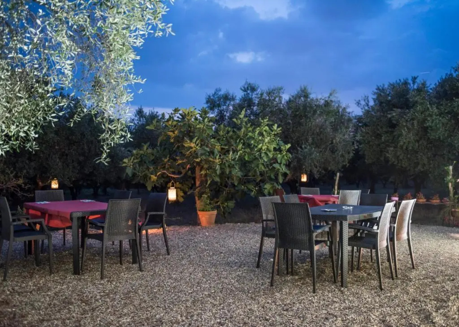 Rifugio tra gli Ulivi B&B