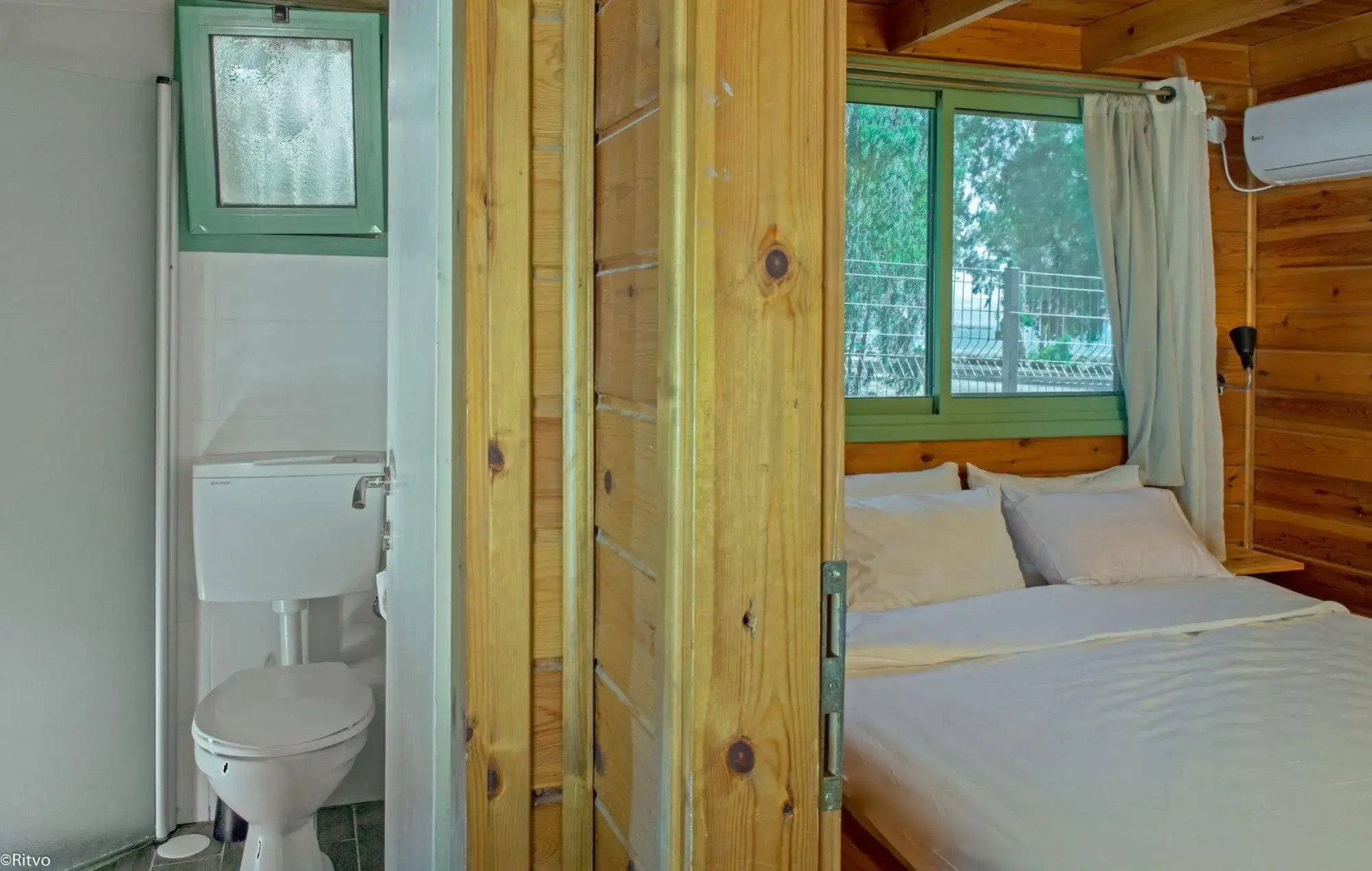 Olive in Sea of Galilee