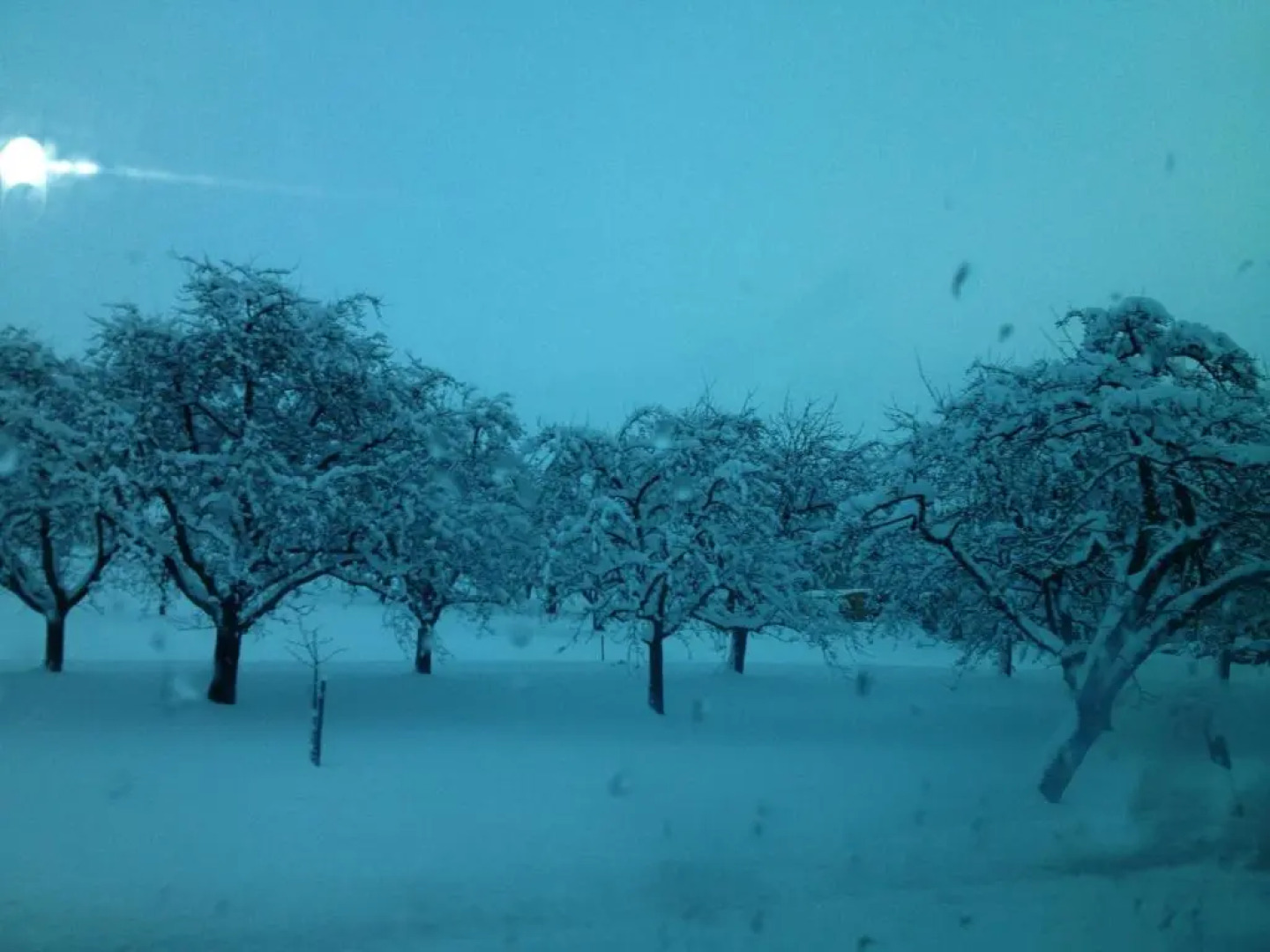 Pia's Nature Retreat