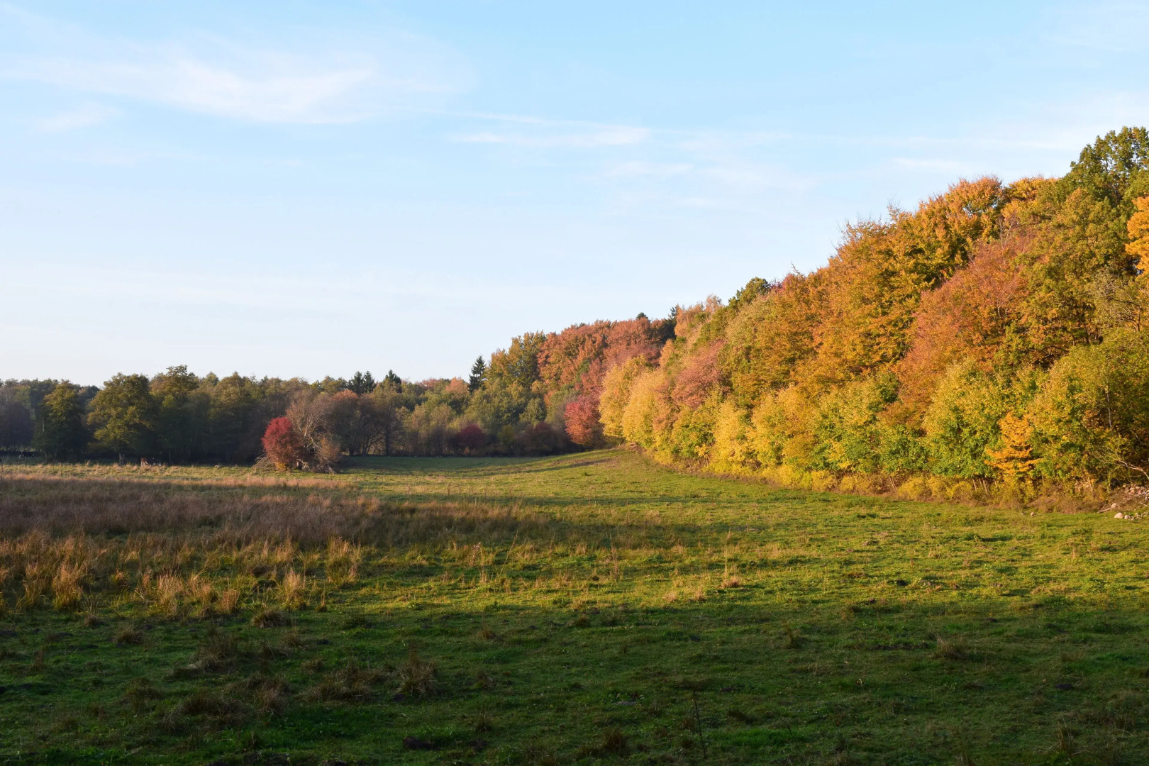 Lilla Rygården Bed & Breakfast