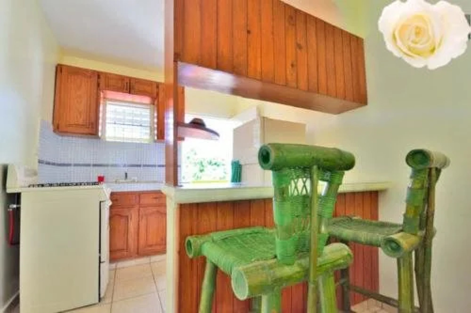 Aparta Hotel Las Flores