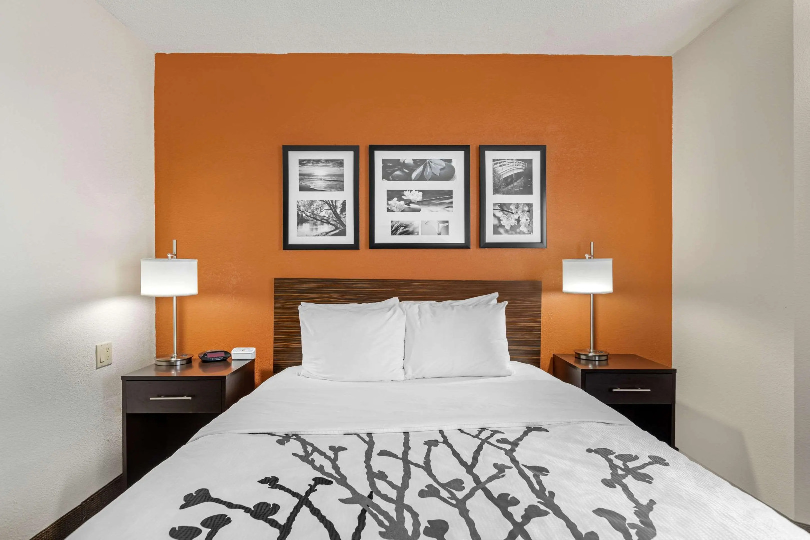 Sleep Inn DeWitt - Lansing North