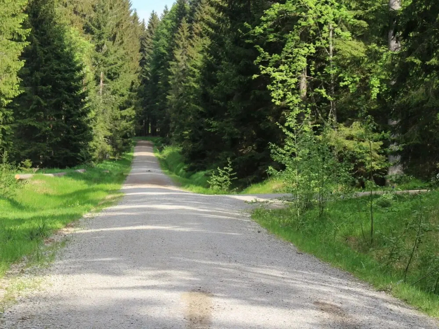 Pleasant Holiday Home in Bischofsreut near Forest
