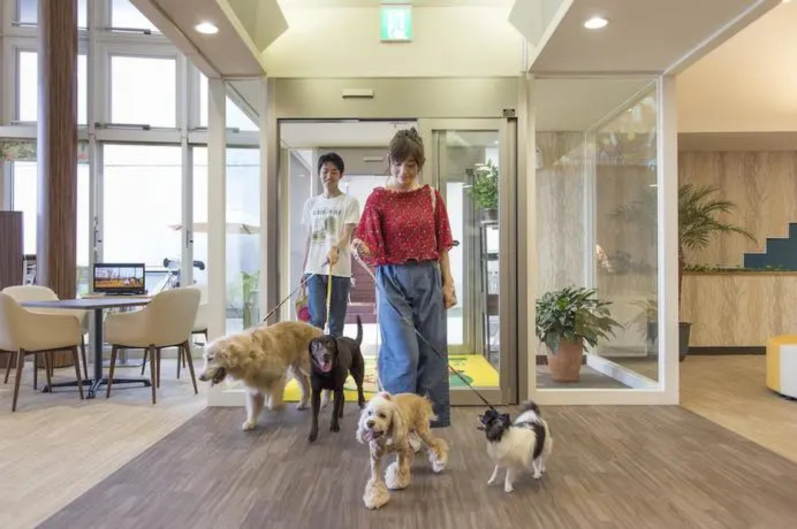 Agriturismo Felciano