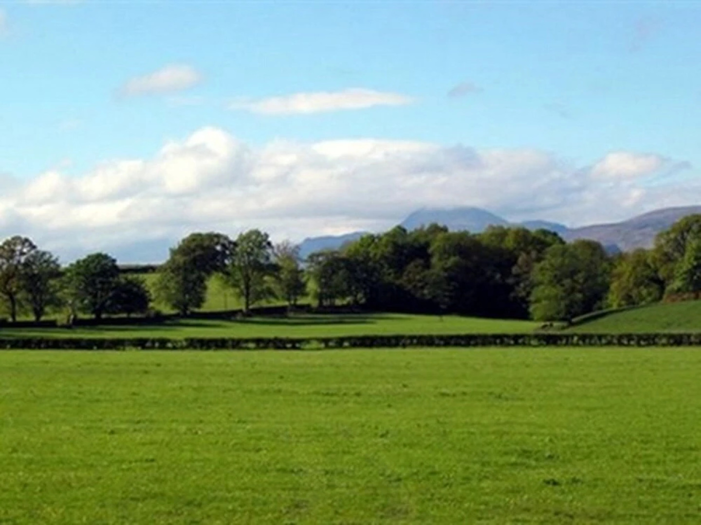 Ardoch Cottage Bed & Breakfast