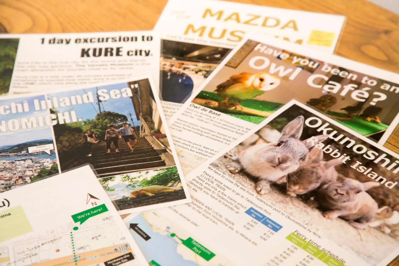 The Evergreen Hostel