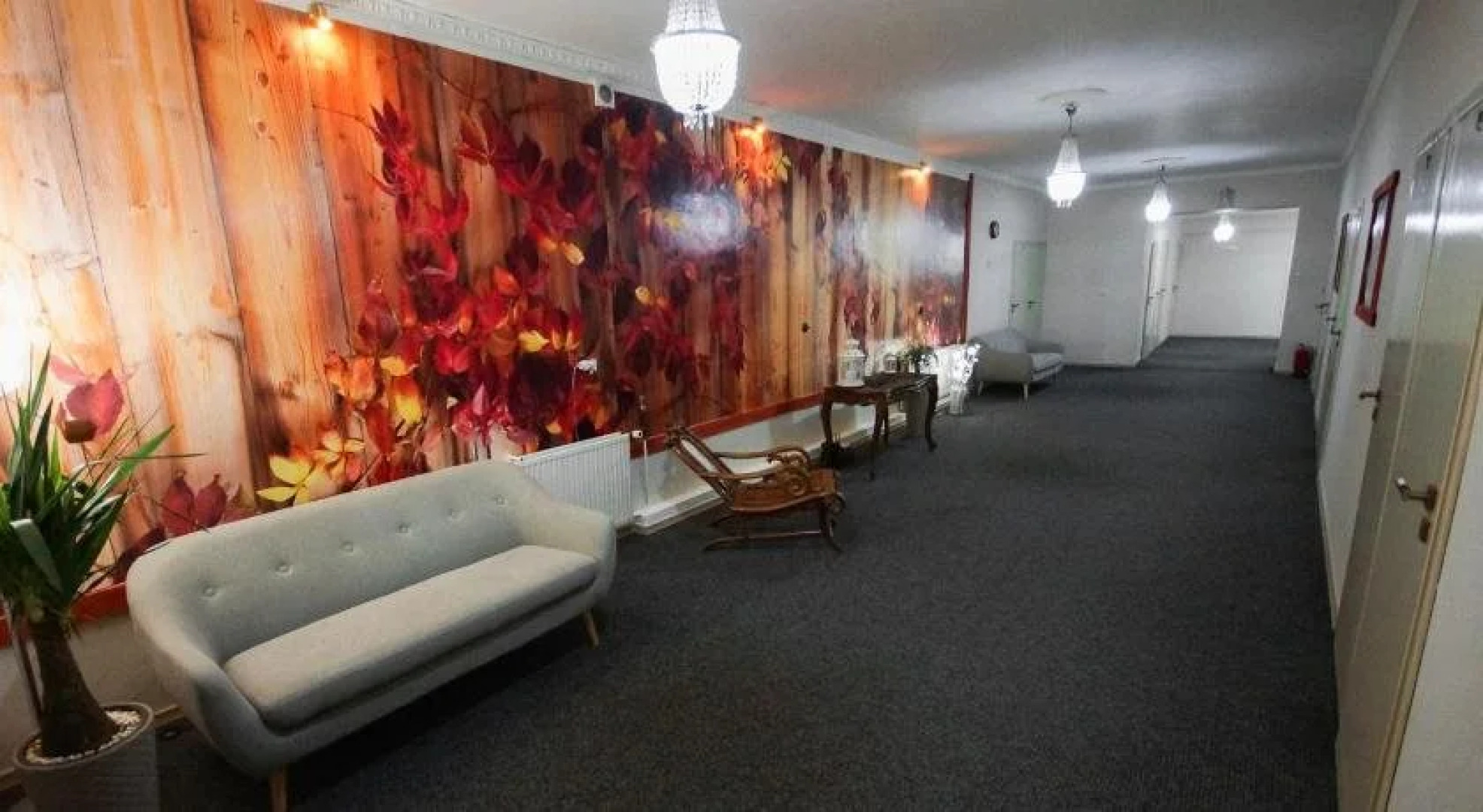 Hotel U Stefaniaków